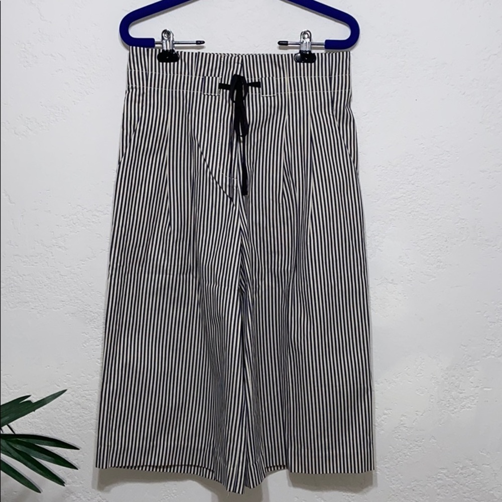 Anthropologie poleci white and gray stripes pants.